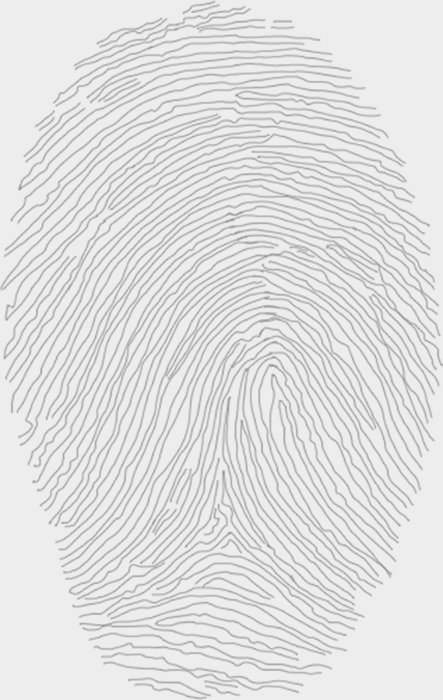 Paused now, the thin black lines of the two juxtaposed fingerprints are more clearly delineated.